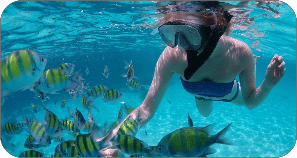 BPI_46_Snorkeling_1920x1008_02x